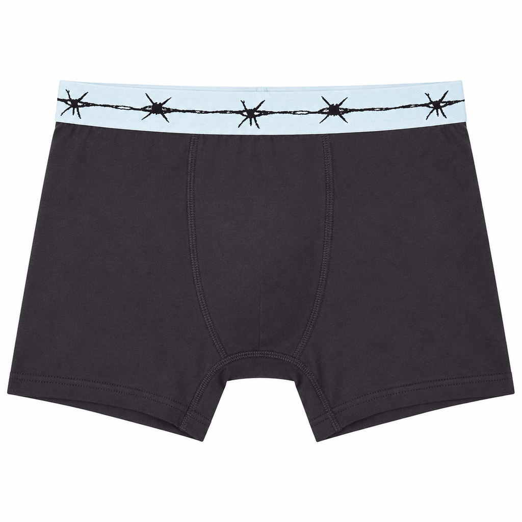 URBAN OUTFITTERS BARBED WIRE BOXER BRIEFS