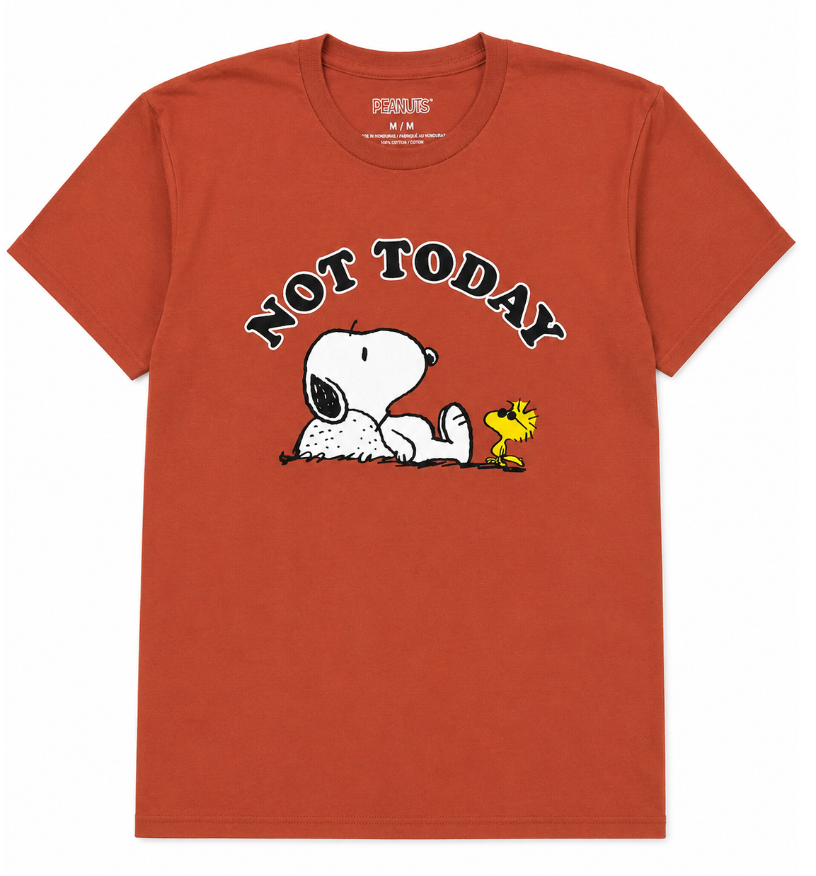 ASSORTED PEANUTS SNOOPY T-SHIRTS MULTI